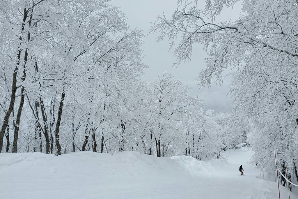 デザインと機能を両立する「雪国の家」づくり