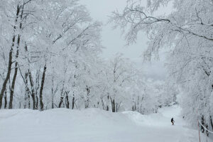 デザインと機能を両立する「雪国の家」づくり