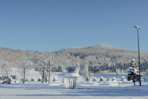 2. 札幌は他の地域と比べて住みやすい？災害リスクの視点から解説
